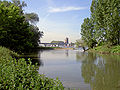 Blick vom Rhein