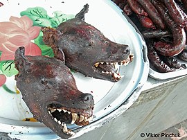 Just yesterday they were barking, Phnom Penh (Cambodia)