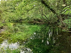 Глетка од водите на езерото Острово