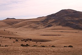 Висорамнината Тони Вода