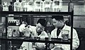 1967-03 1967年人工合成胰岛素实验1