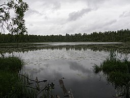 Aravuse järv.