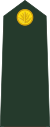 Бангладеш-армия-OR-1.svg