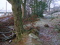 The 'park' outline where it diverges from the hedge bordering Fergushill Road.