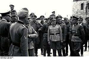 Bundesarchiv Bild 192-298, KZ-Mauthausen, Himmlervisite.jpg