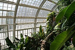 Inside view of the Butterfly House