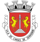 Wappen von Canas de Senhorim