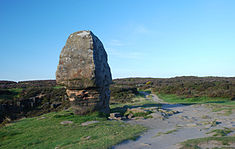 File:Corkstone Stanton.jpg (Corkstone, Stanton Moor)