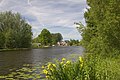 De Oude Rijn bij buurtschap Weijland, voorjaar