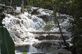 Las cascadas del Río Dunn en Ocho Ríos.