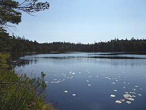 Den östra av Stentjärnarna från norr den 30 augusti 2021.