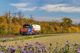 Eem 923 010 zwischen Koblenz und Laufenburg