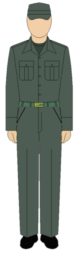 Egyptian Army field overall