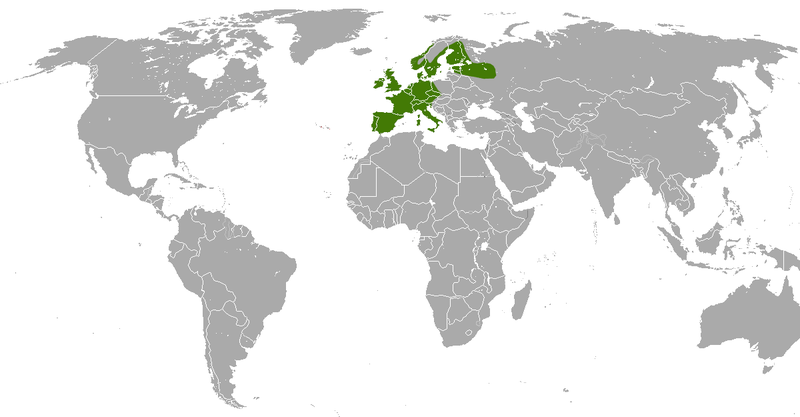 File:European Hedgehog area.png