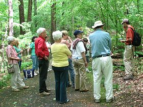 Fernbank Forest.jpg