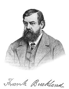 Frank Buckland naturalist.jpg