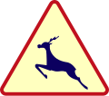 A15b: Wildwechsel