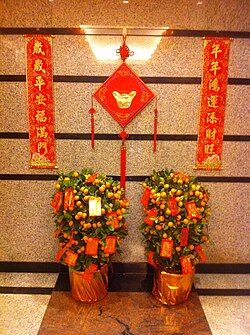 HK Mid-levels Chinese New Year decoration plants Jan-2012.jpg
