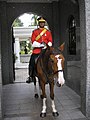 Guardia reale a cavallo di guardia al cancello principale.