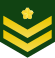 Знак различия рядового первого класса JGSDF (a) .svg