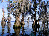 Lake Louisa State Park