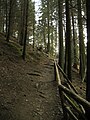 Lieserpfad hiking trail in the Eifel