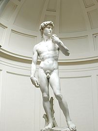 The original David of Michelangelo.