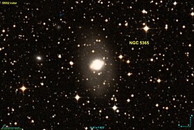 Image illustrative de l’article NGC 5365