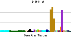 PBB GE AQP5 213611 at tn.png