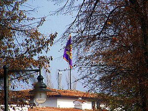 現在のブカレストにおけるルーマニア王家の公邸エリサベータ宮殿（ルーマニア語版）