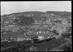 South Dunedin