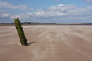 English: Post in the sand, Brancaster This sin...
