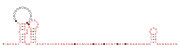 RAGATH-33 Secondary structure taken from the Rfam database. Family RF03102
