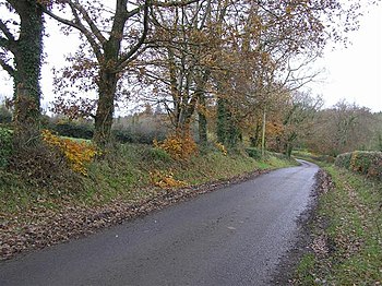 English: Road at Ballygittle The last of the A...
