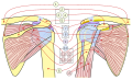 Thumbnail for version as of 06:31, 11 March 2018