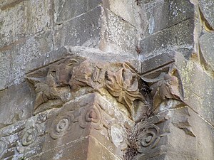 Feuilles de vigne et de figuier.