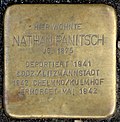 Stolperstein für Nathan Panitsch (Grunerstraße 12)