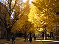 2011年1月20日 (木) 12:52時点における版のサムネイル