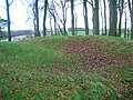 The top of the Castle Hill Plantation.