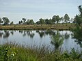 Naturnaher Teich innerhalb des Übungsgeländes