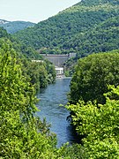 La Truyère à l'aval du barrage.