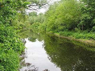 Река Вирвичя у д. Капенай . Foto:Algirdas at lt.wikipedia