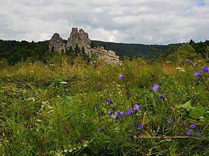 Туристичні стежини Тустані