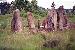 19-028 26 - Tiya Stele Field.jpg