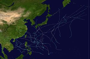 1975 Pacific typhoon season summary.jpg