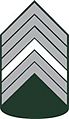 1° Sargento do Exército Brasileiro