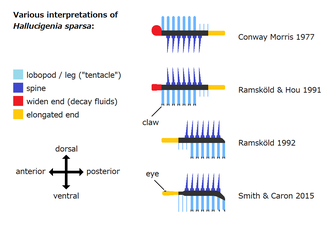 Various interpretations of Hallucigenia sparsa ハルシジニア（ハルキゲニア）・スパーサ（スパルサ）の様々な解釈