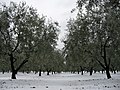 Sličica za različico z datumom 05:07, 2. november 2016