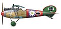 Albatros D.V de Paul Bäumer, Jasta 5