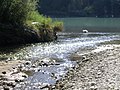 Der Allondon trifft im Ramsar-Schutzgebiet auf die Rhône (Schweiz)